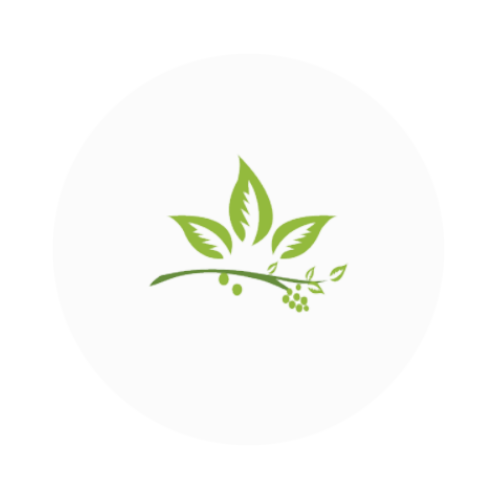 گیاهان دارویی Medicinal Plants