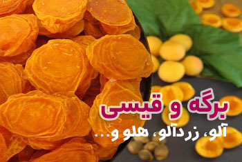 برگه و قیسی