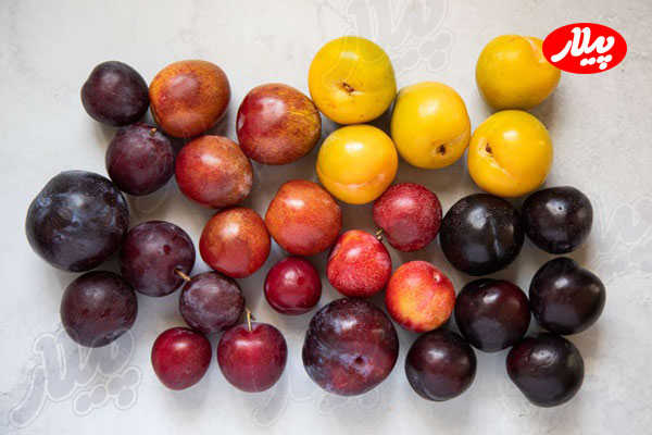 انواع میوه آلو برای تهیه چیپس آلو در منزل